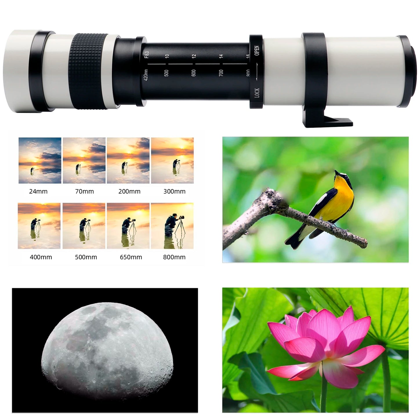 Lightdow Super Telephoto Manual Zoom Lens 420-800mm F8.3-16 With T2 Ring Adapter for Sony Canon Nikon Pentax Olympus Cameras
